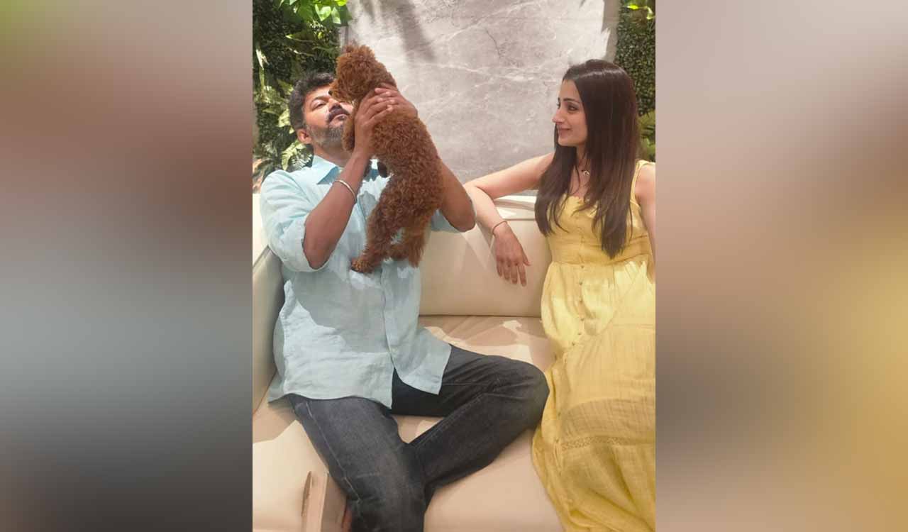 Trisha Krishnan drops cryptic post about love amidst dating rumours with Thalapathy Vijay