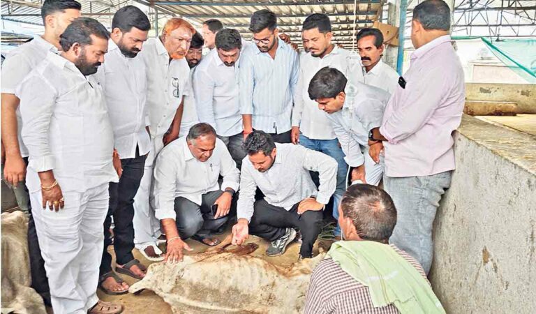 BRS holds Endowments Minister responsible for Vemulawada kodelu deaths