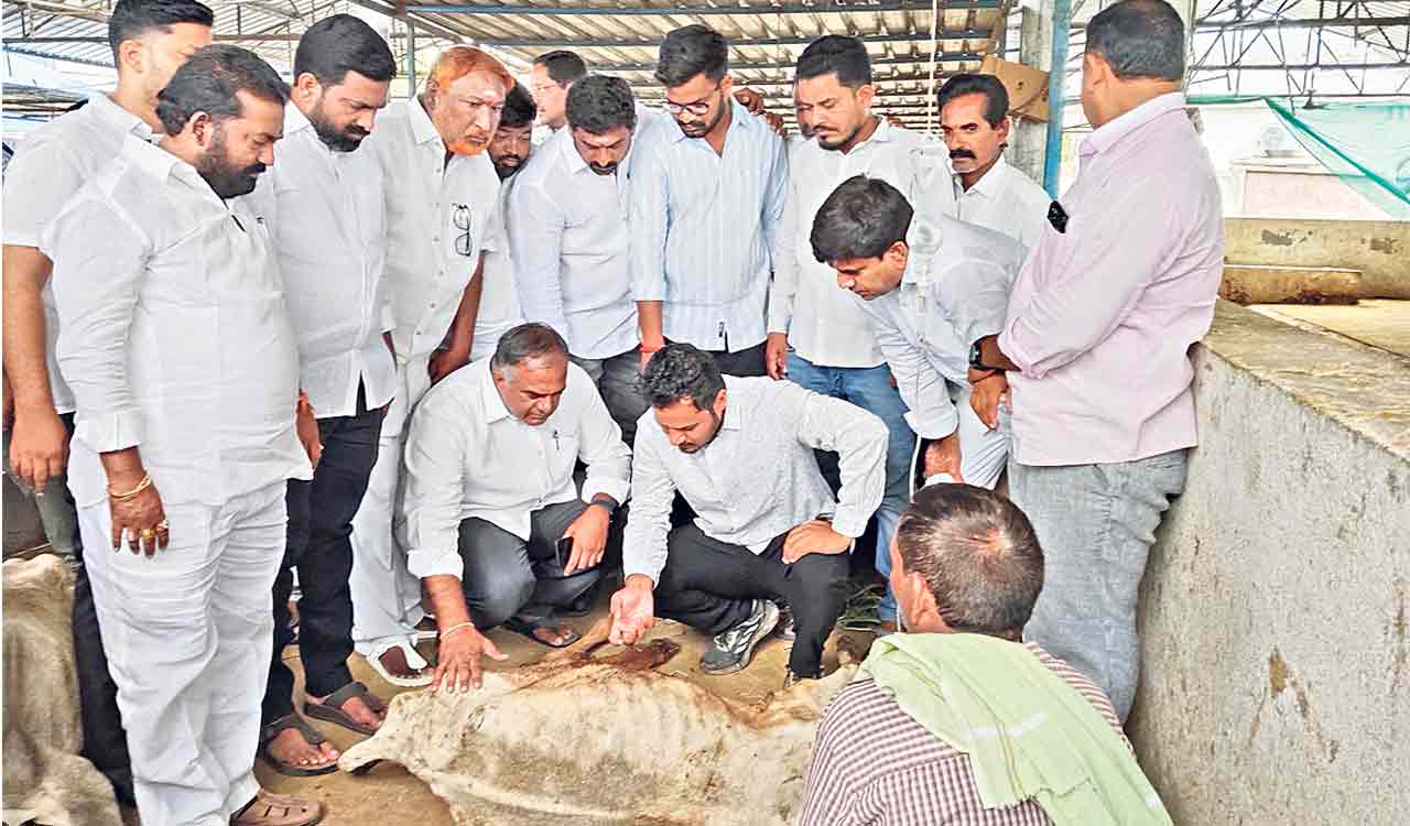 BRS holds Endowments Minister responsible for Vemulawada kodelu deaths