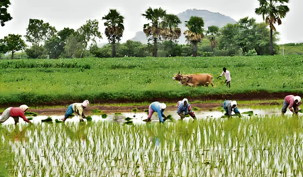 Kharif Crop sowing area surges to 89 Lakh hectares, boosting farmers’ Prospects