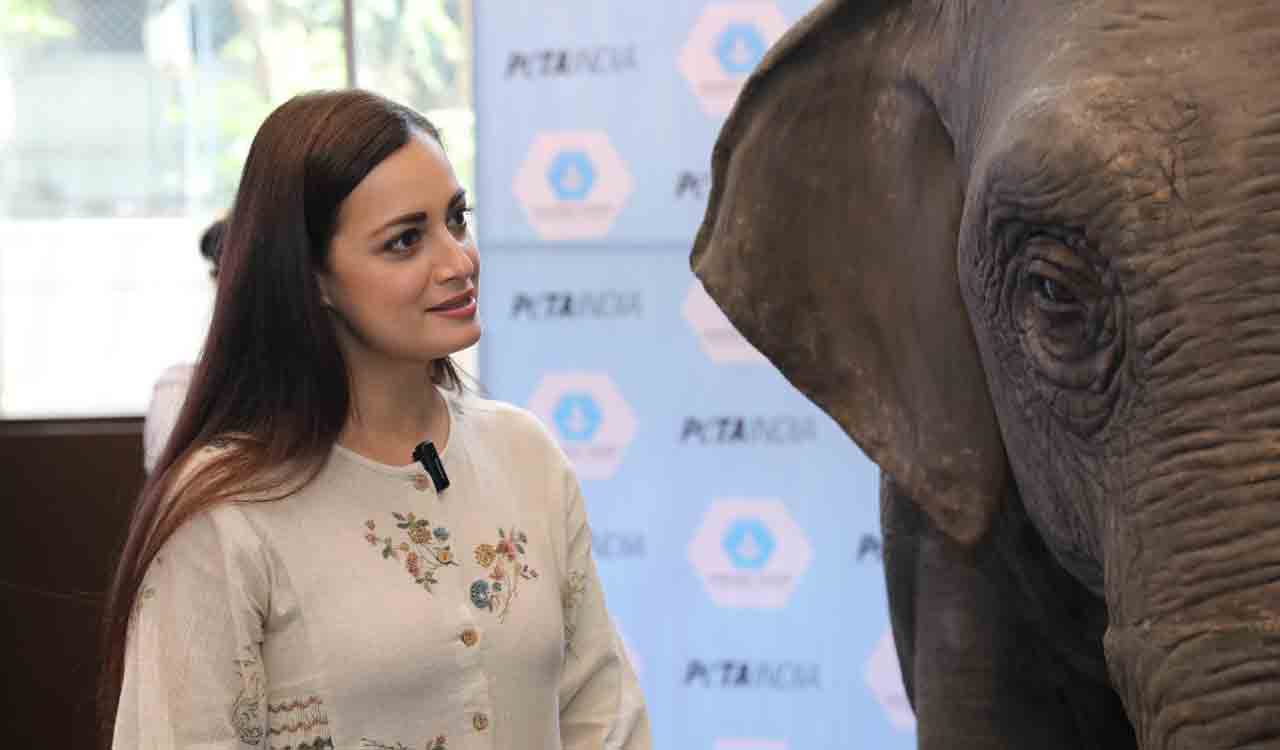 On World Environment Day, Bhagyashree, Dia Mirza share messages on sustainability and climate action