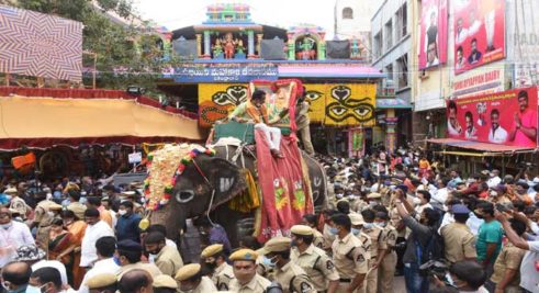 Elephant from Andhra Pradesh to grace Bonalu, Moharram processions in Hyderabad