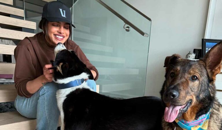 entertainment priyanka chopras quick trip home turns into fun session