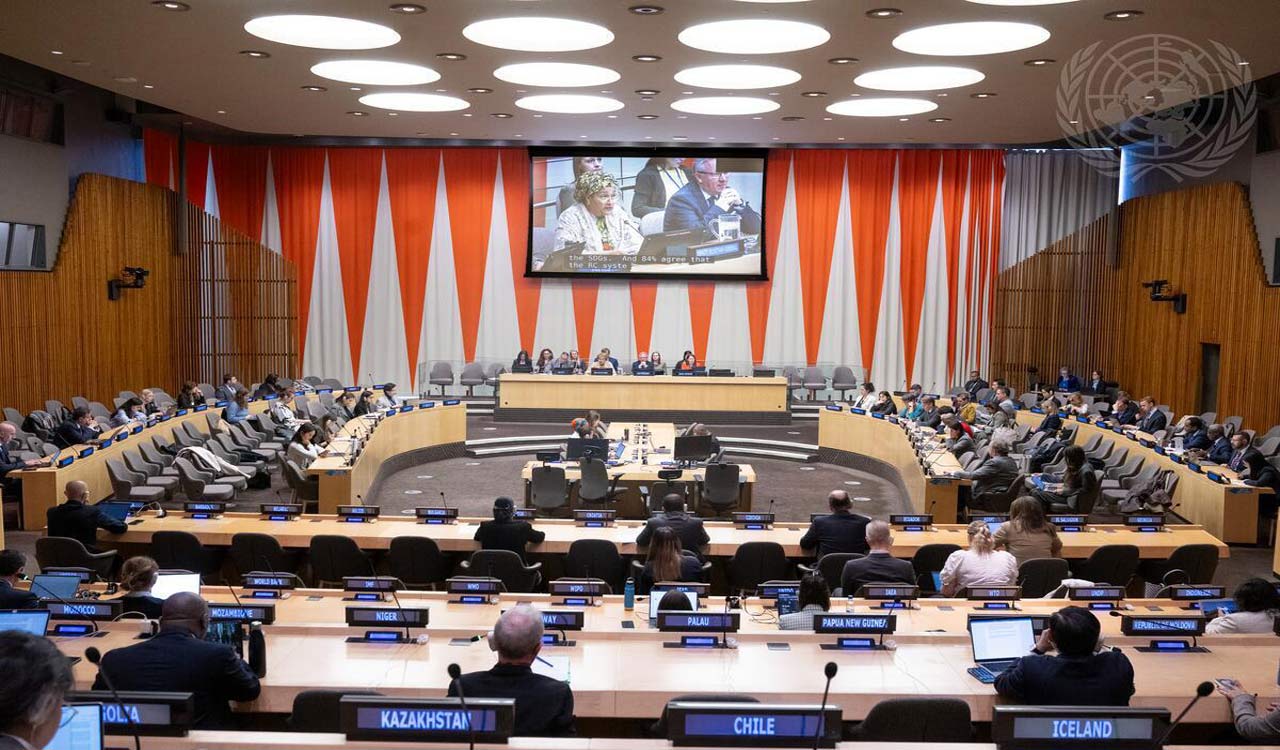 India elected to UN Economic and Social Council with pledge to champion development