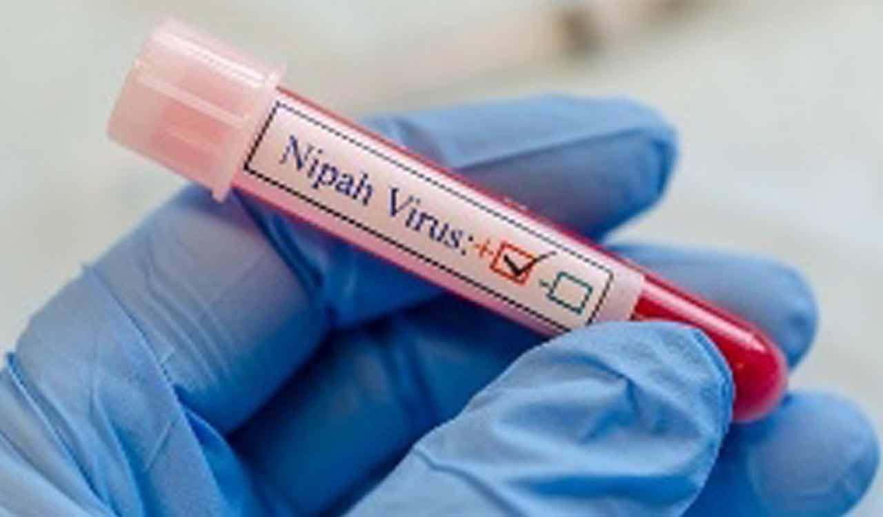 National Institute of Virology develops portable kit for rapid Nipah virus detection