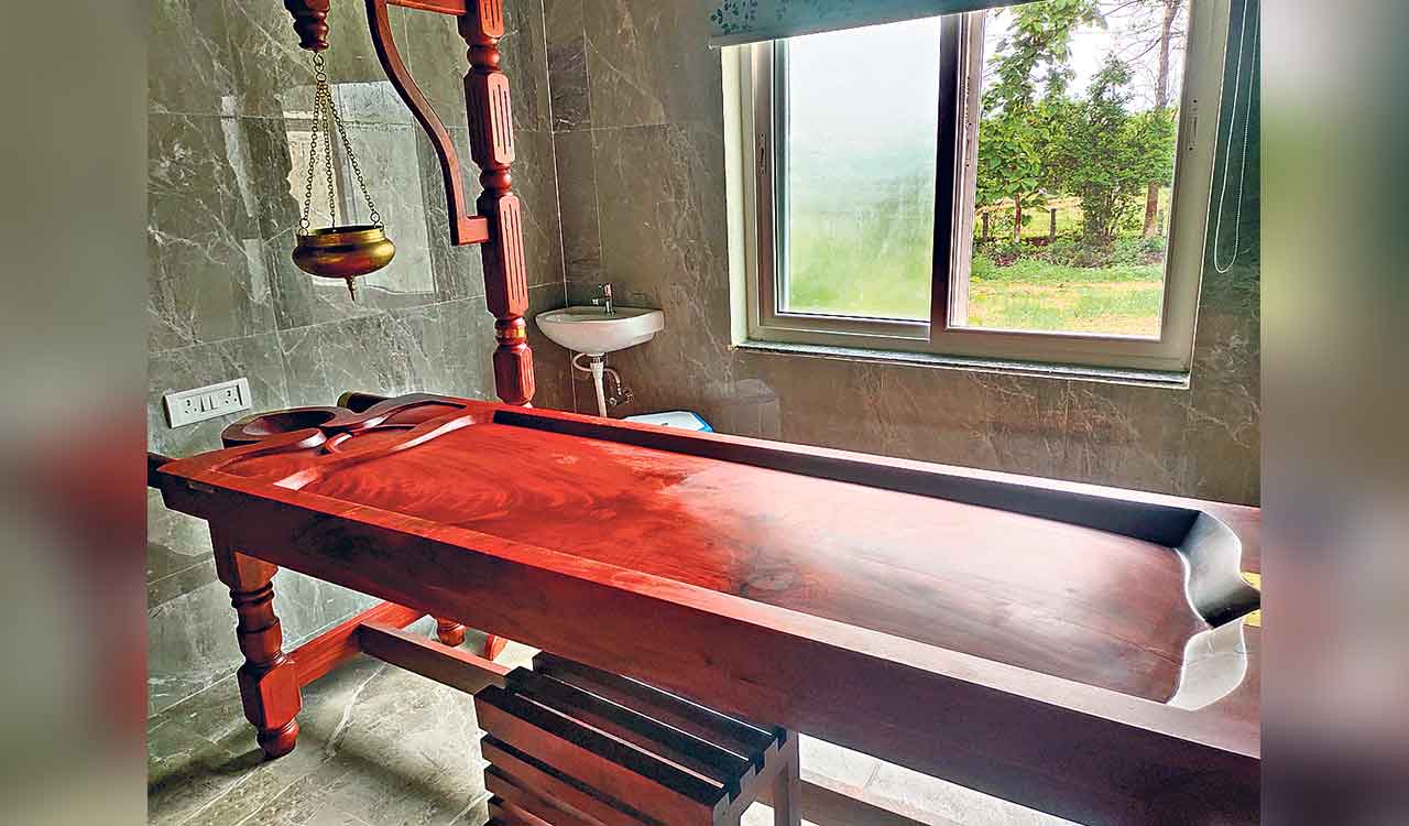 New naturopathy, ayurveda wellness resort opened in Mancherial