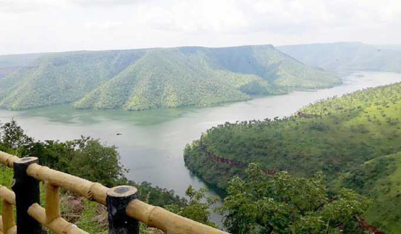 Telangana: Amrabad Tiger Reserve temporarily shut for tourists