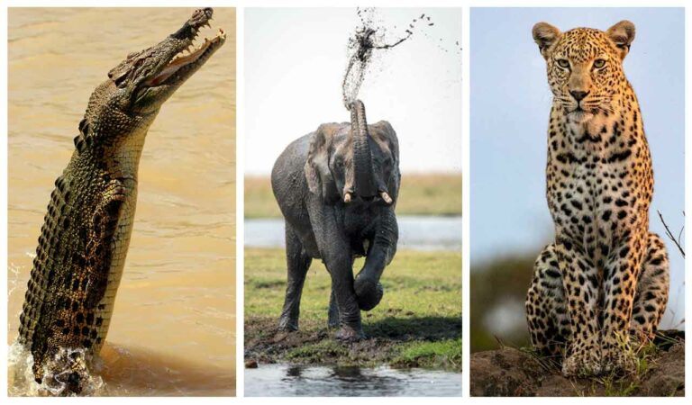 Hyderabad gets Wild Monsoon surprise