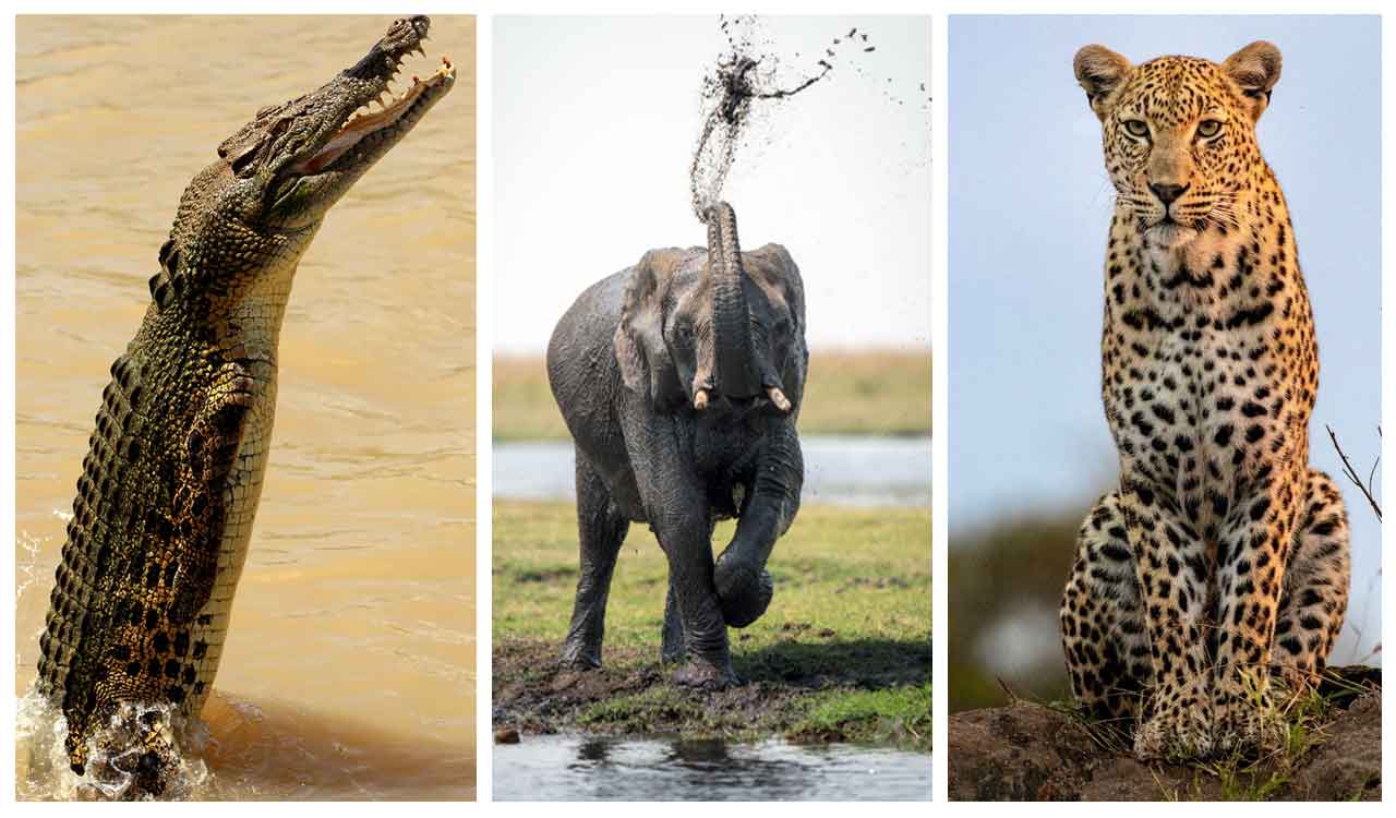 Hyderabad gets Wild Monsoon surprise