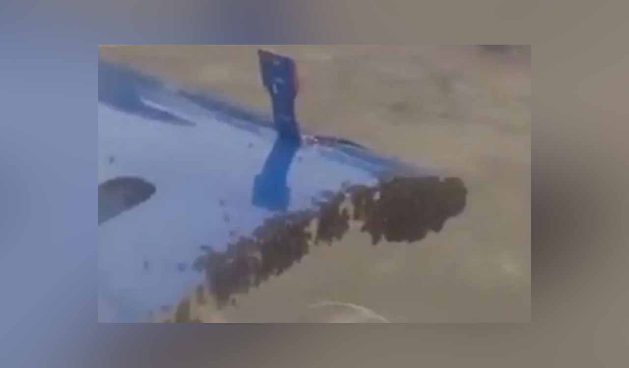 ‘Buzz-ness’ unusual: Swarm of honeybees delays Jaipur-bound IndiGo flight from Surat by 45 minutes