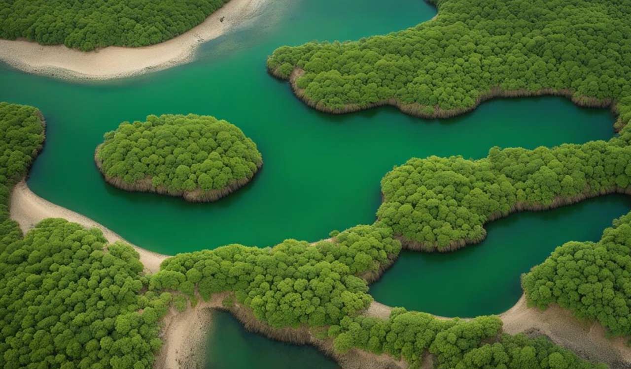 UNESCO adds Guinea-Bissau’s Bijagos Archipelago to World Heritage list