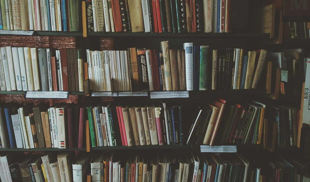 Hungary’s oldest library battles beetle infestation