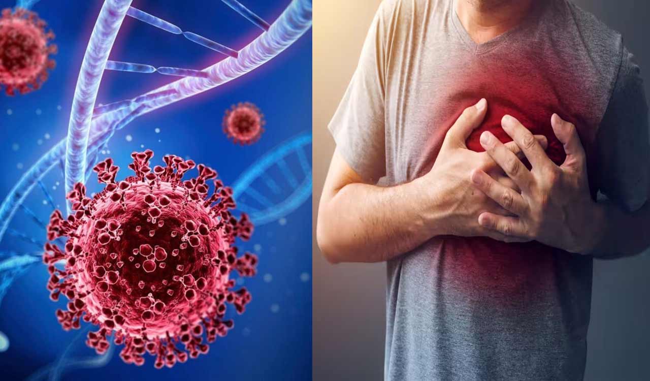 No link between Covid vaccines and sudden deaths, confirms ICMR-AIIMS Studies: Health Ministry