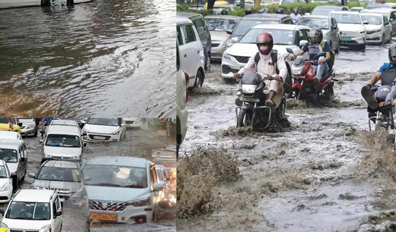 Rain brings relief to Delhiites; air quality improves, temperatures drop