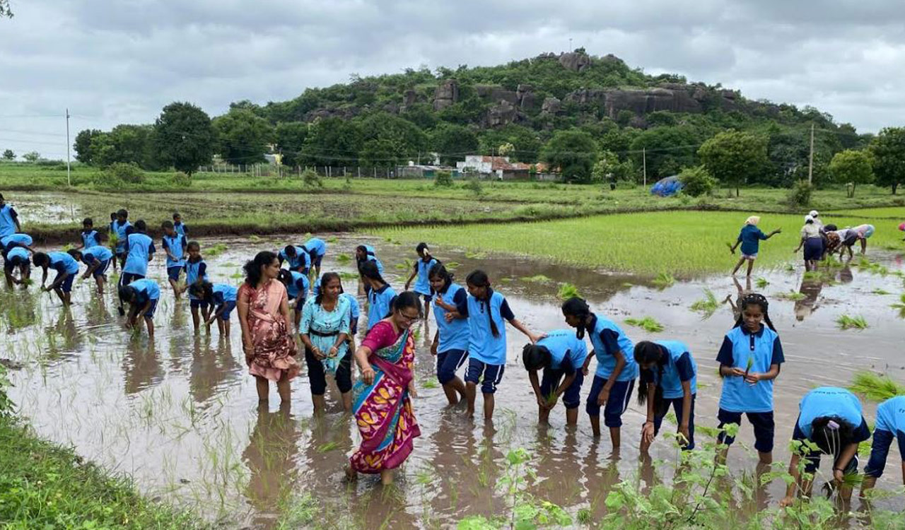ZPHS students get hands-on experience in paddy planting in Karimnagar