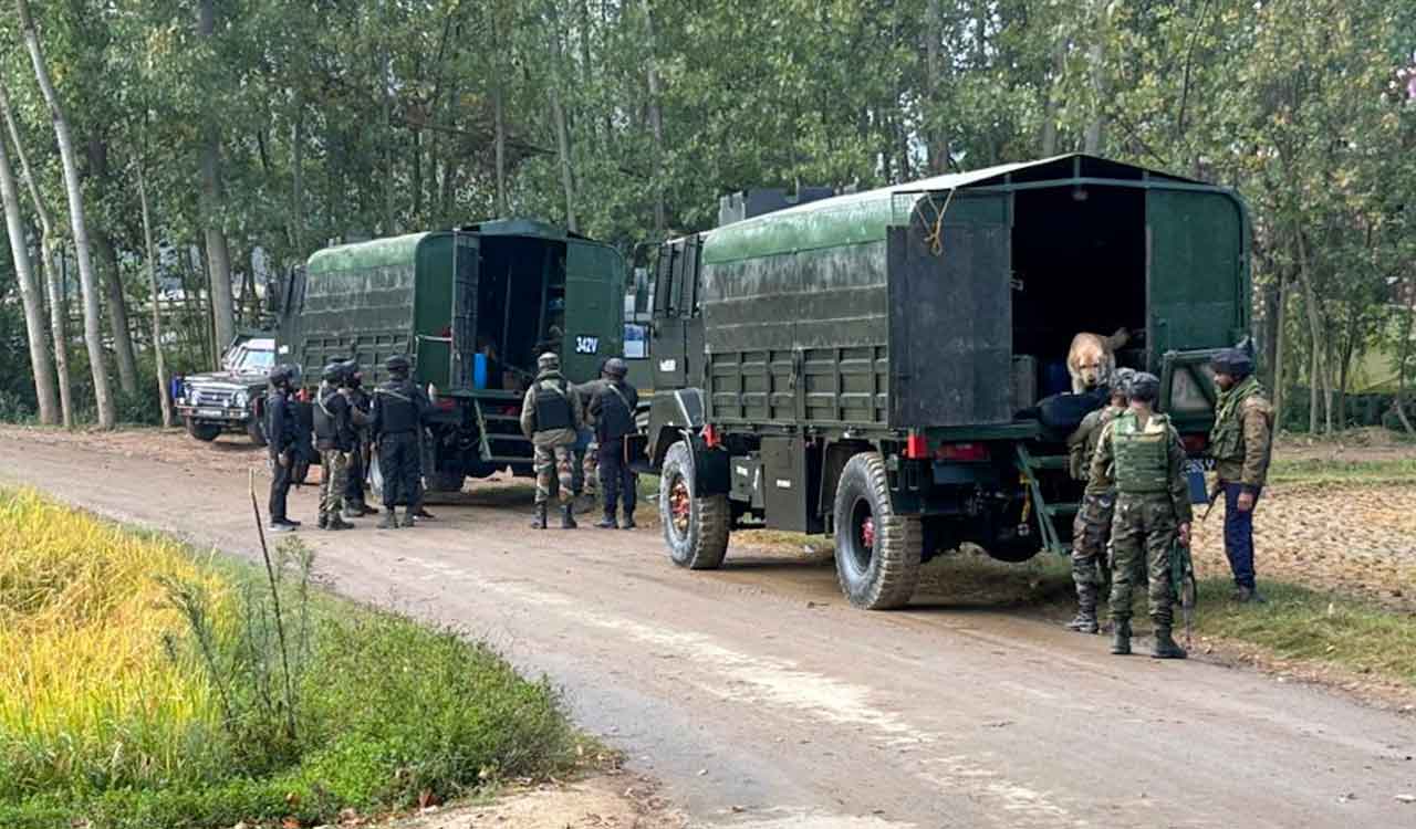 3 terrorists killed in anti-terror operation in J&K’s Dachigam