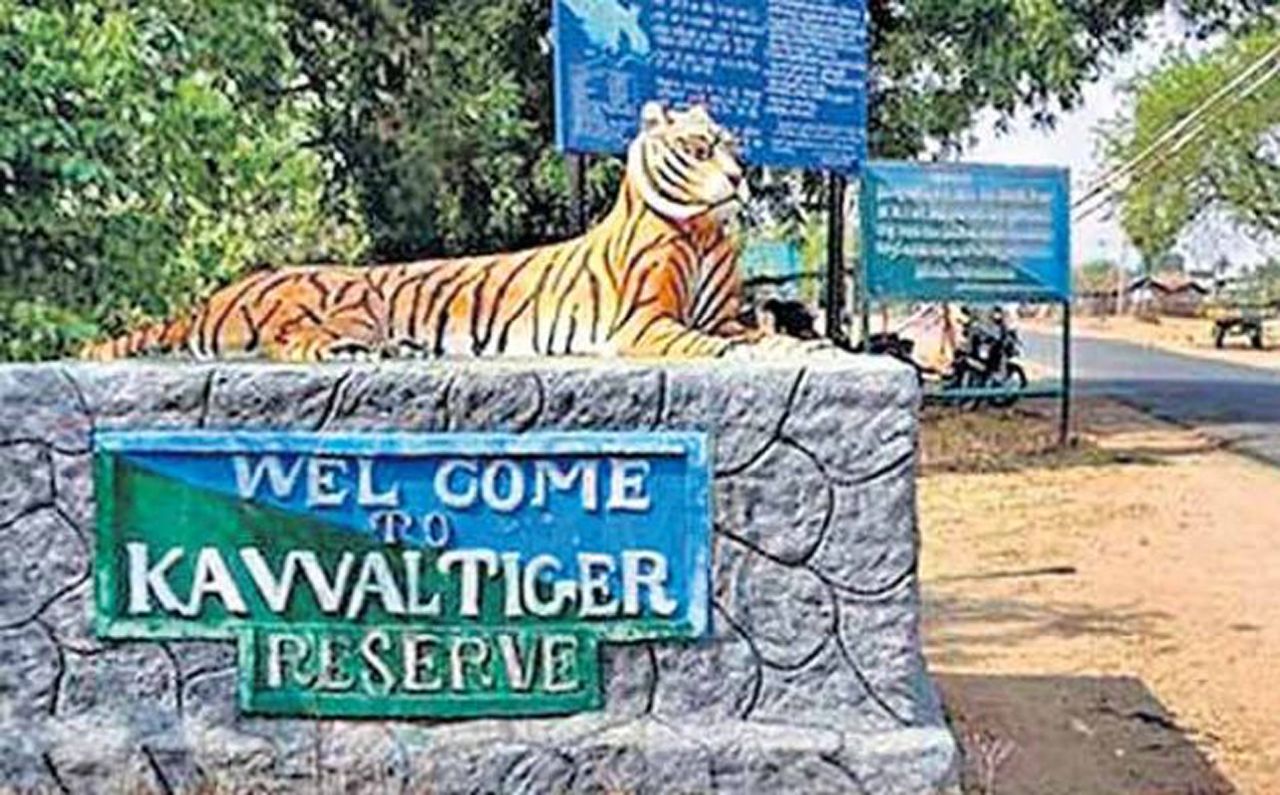 Jungle safari in Kawal Tiger Reserve suspended till September 30