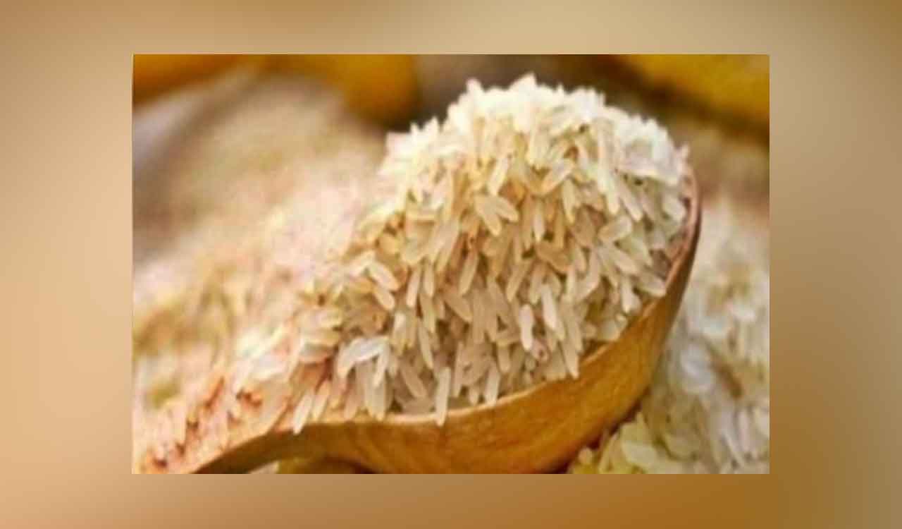 Centre has surplus stocks of rice and wheat to control inflation: Govt