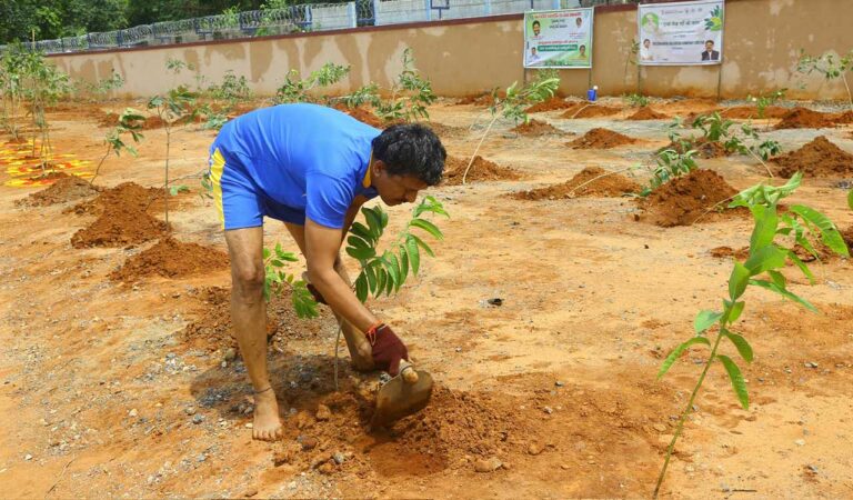 Singareni CMD N Balaram sets record with 20,000 saplings planted across SCCL