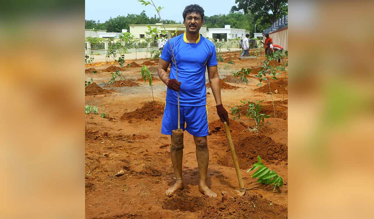 Singareni CMD N Balaram sets record with 20,000 saplings planted across SCCL