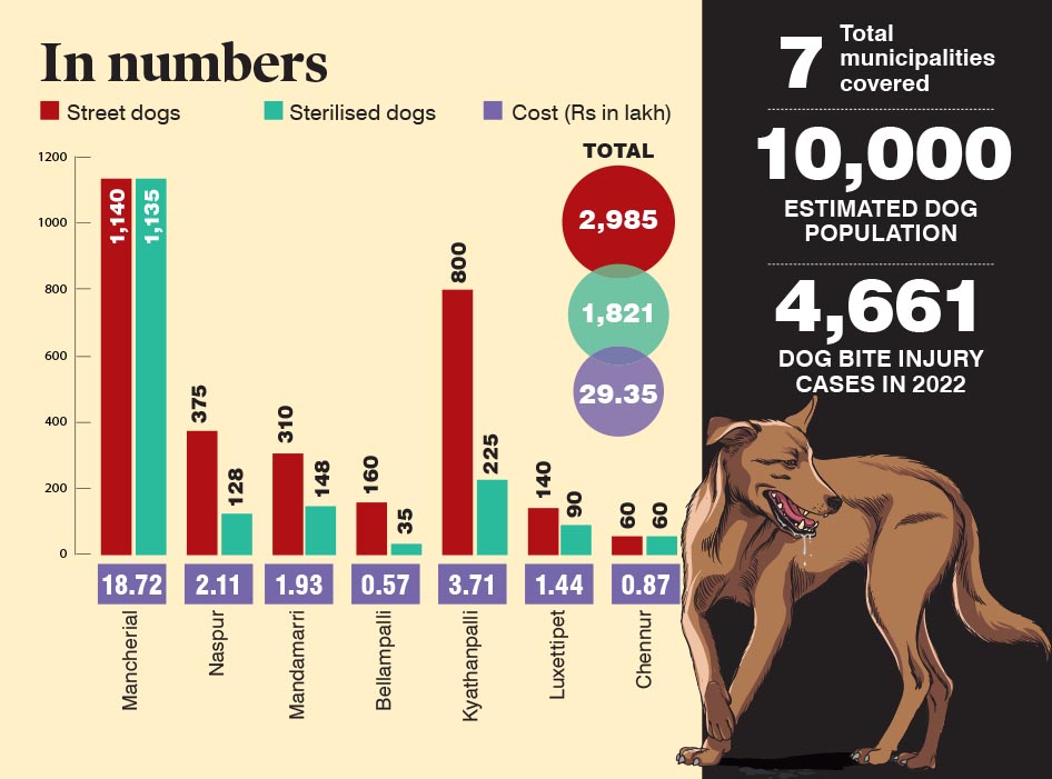 Telangana: Street dog sterilisation halted in Mancherial over unpaid salaries