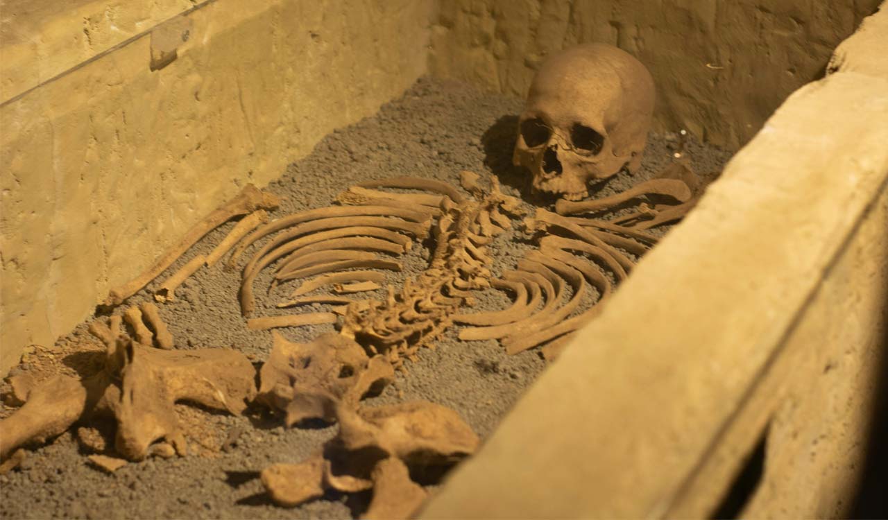 Hyderabad: Police seek forensic help to identify skeletal remains found in Nampally