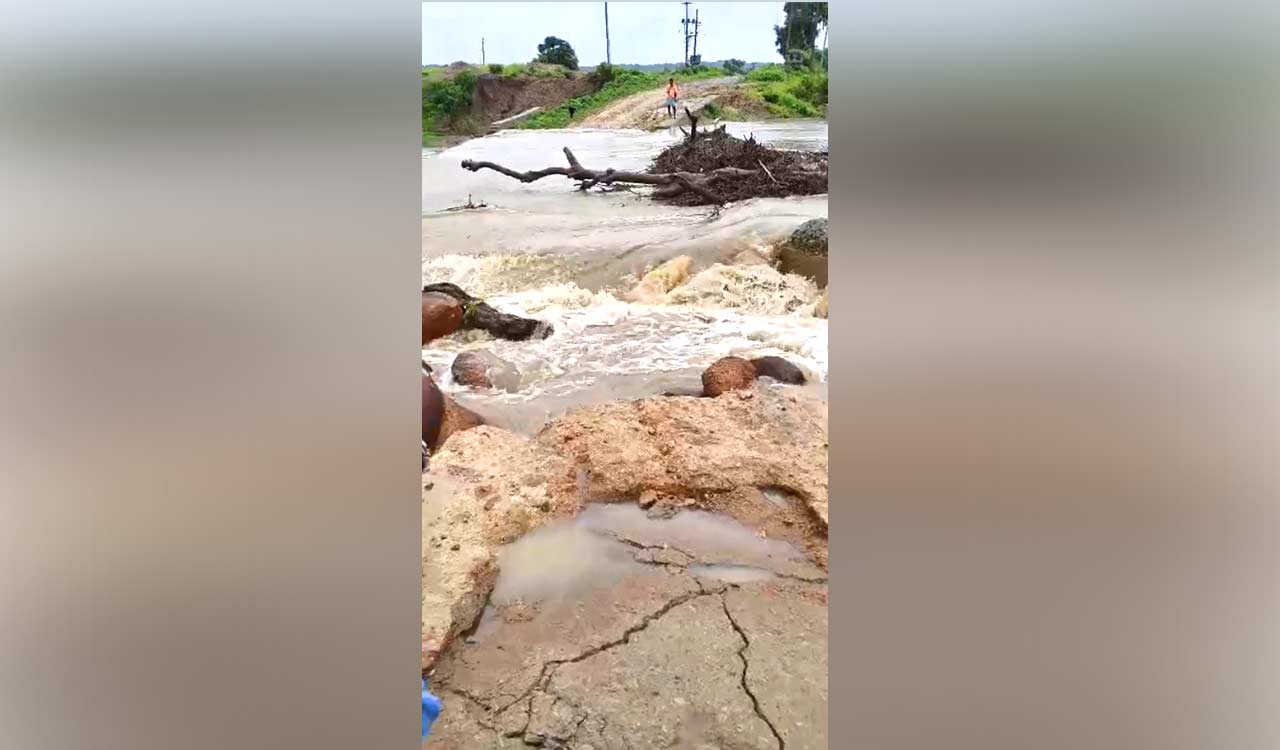 Tribal hamlet in Medak cut off as Gangamma Vagu overflows