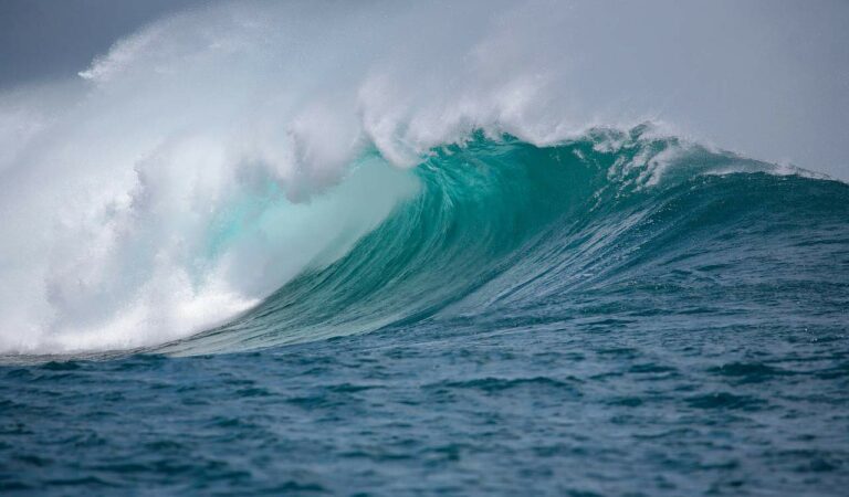 Tsunami Ff