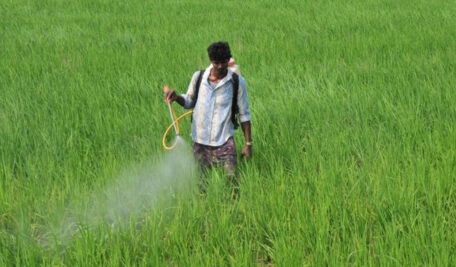 Telangana stares at urea crisis; Thummala writes to Centre seeking urgent intervention