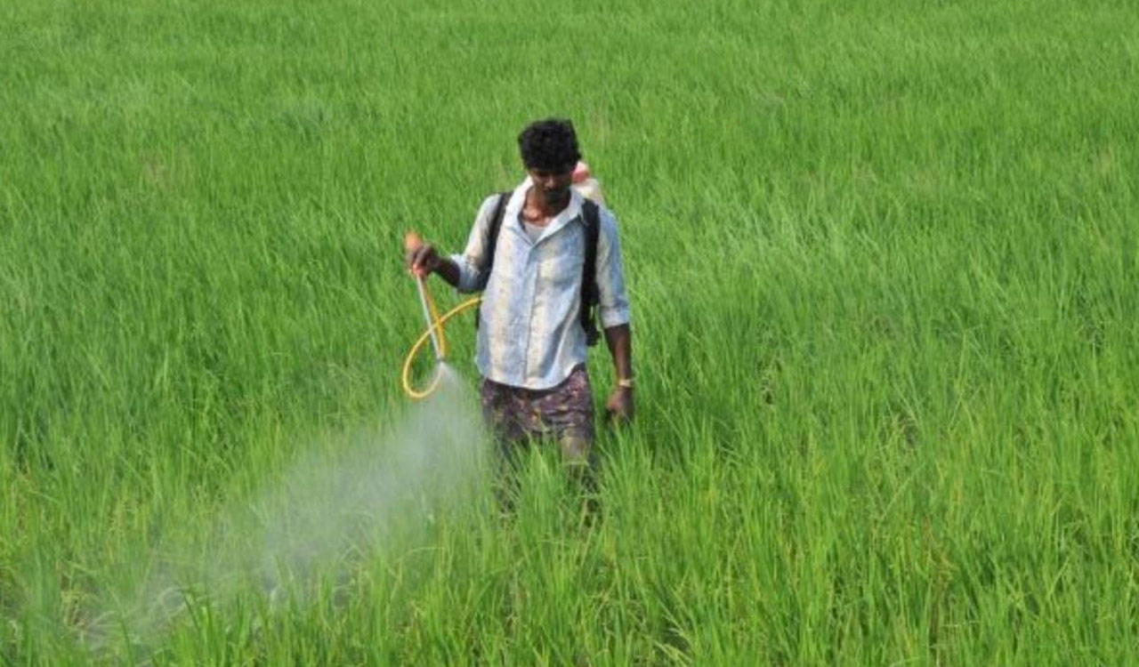 Private traders selling urea at high prices in Karimnagar