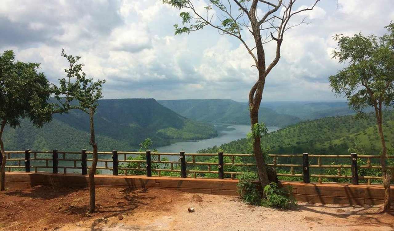 Vacancies and lack of support posing a challenge for Amrabad Tiger Reserve