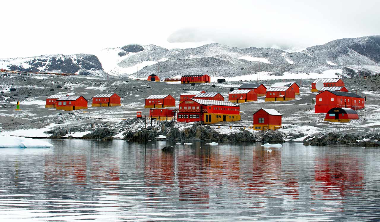 The rush to Antarctica: How much is too much?