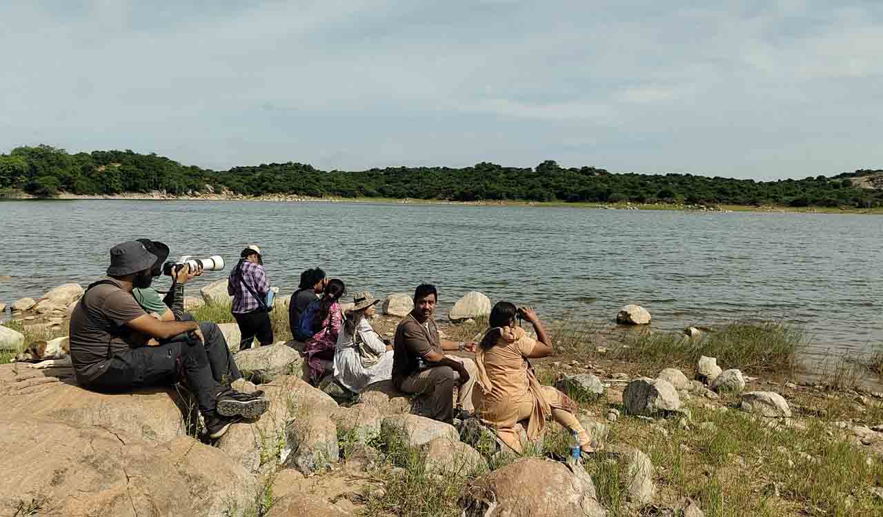 Hyderabad Bird Atlas adds 23 new species in second season
