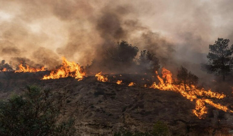 Indonesia forest fire
