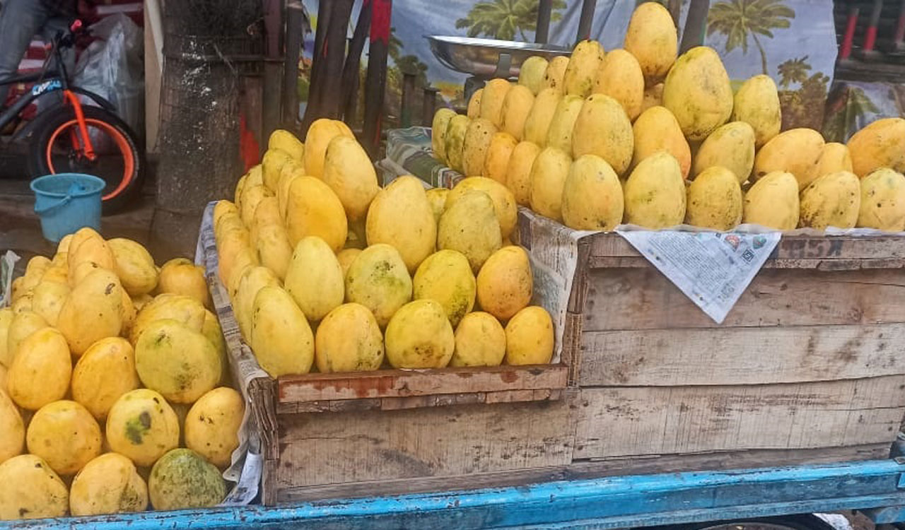 Telangana mango farmers face mid-season crisis as prices crash amid oversupply, Chittoor ban