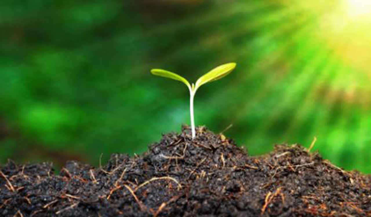 Centre’s organic farming push: Farmers in Telangana to receive fertiliser aid, market access