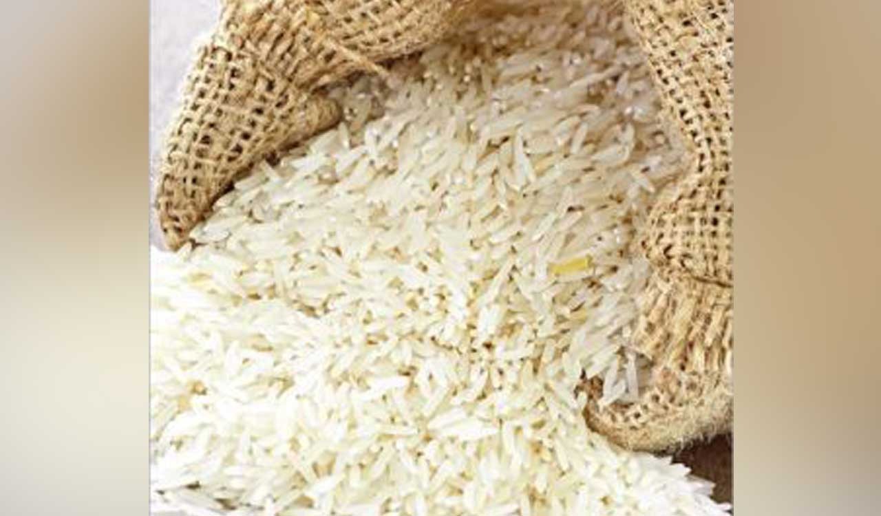 Worms in khichdi: Gurukul principal, warden suspended in Bhadrachalam