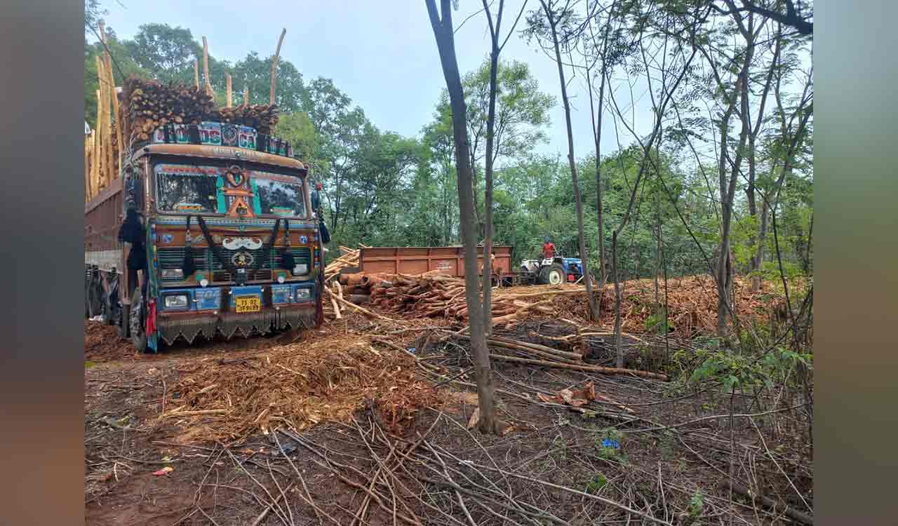 Hyderabad: Trees razed across 20 acres at Rajendranagar, students protest against deforestation