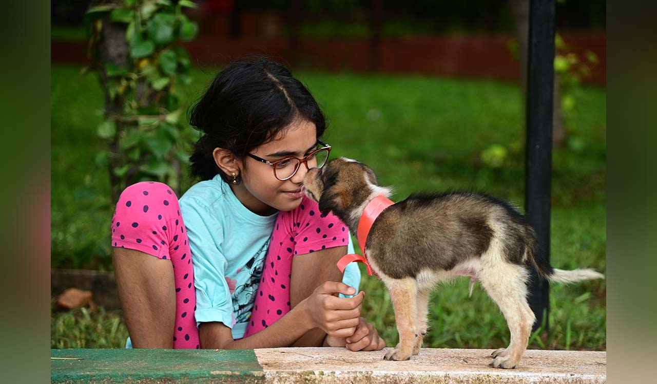 Indie puppy adoption event wins hearts of dog lovers in Hyderabad