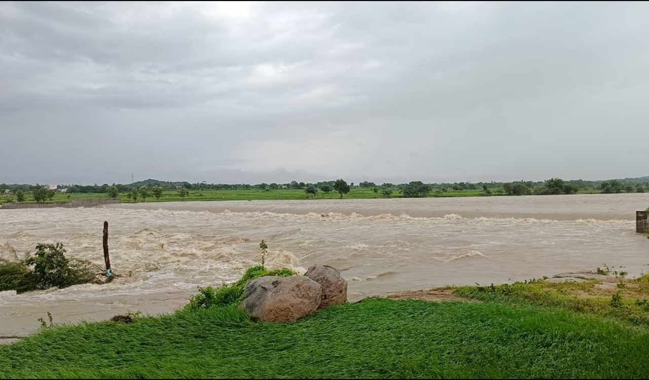 808 people rescued in Telangana after heavy rains, 200 students evacuated in Kamareddy