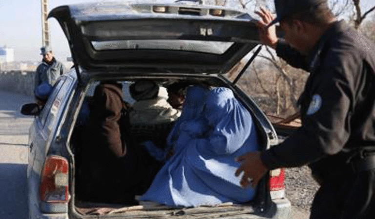 253 drug addicts reunited with families after rehab in Afghanistan’s Herat