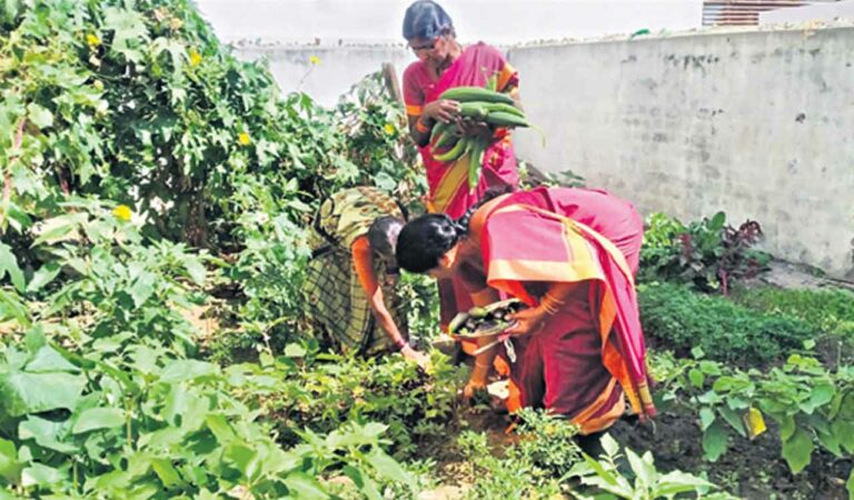Anganwadi Centres