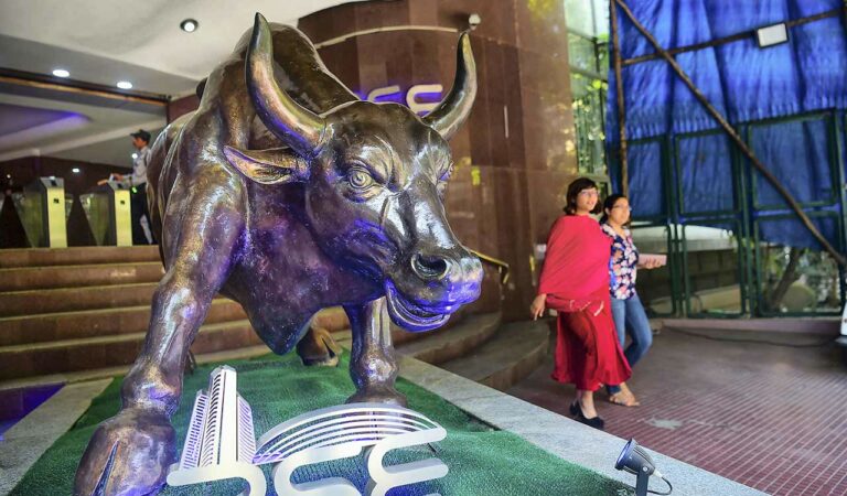 stock Bull