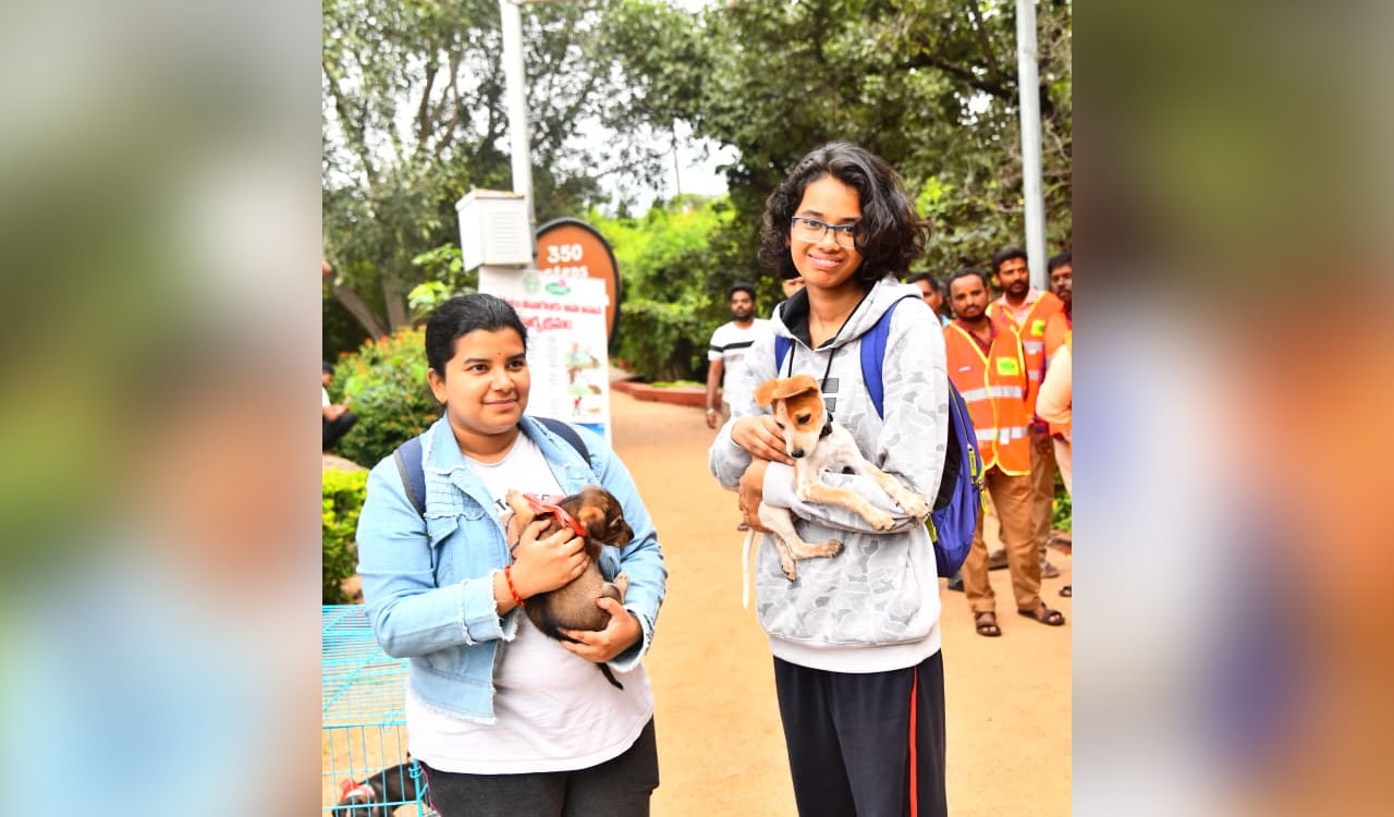 GHMC’s Indie Puppy Adoption Mela: 22 puppies find loving homes