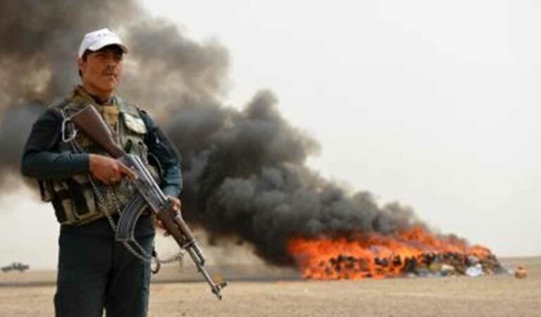 Over 900 former drug addicts rehabilitated in Afghanistan