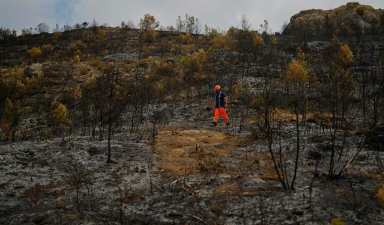 France issues red alert as heatwave scorches vineyards and cities in the south