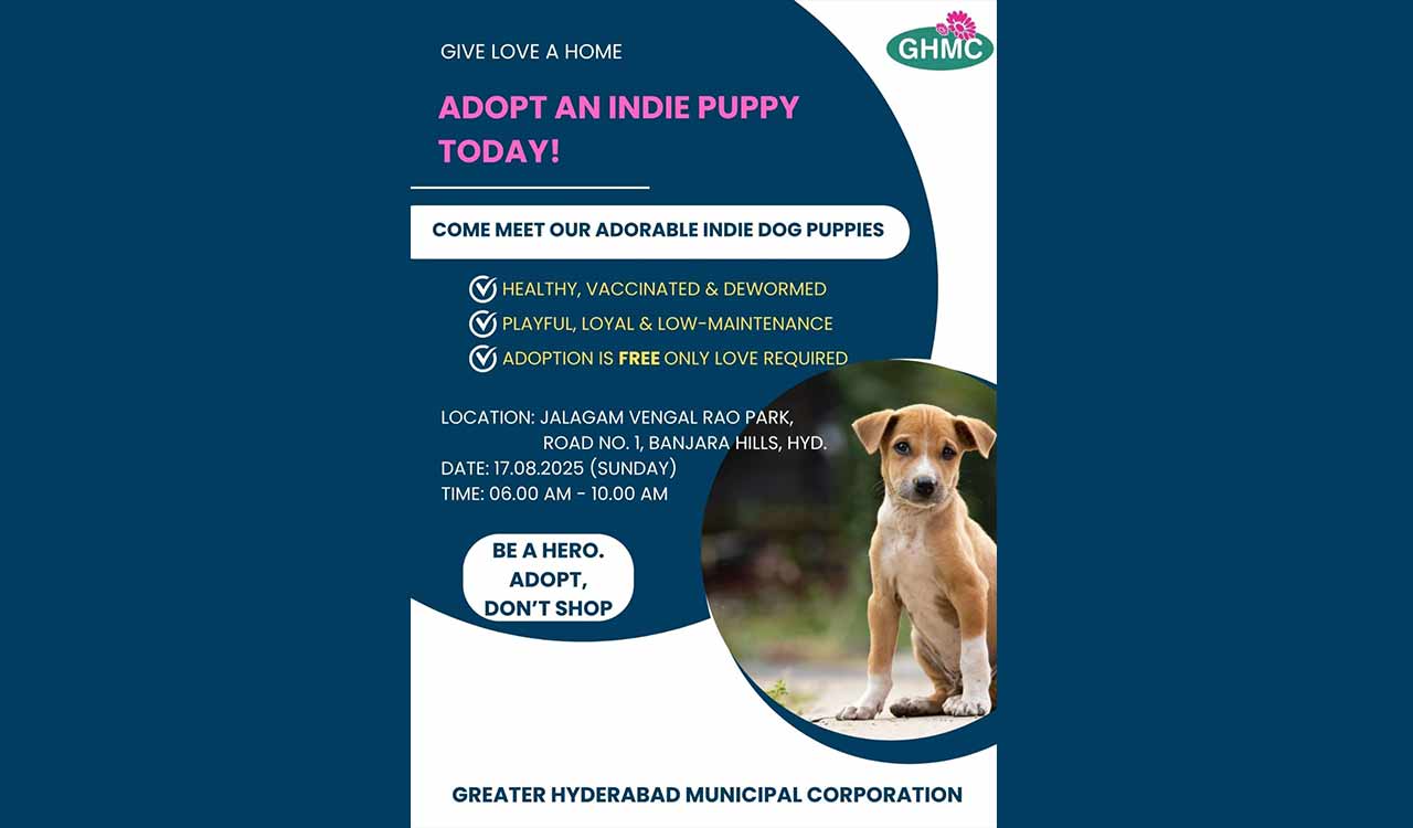 GHMC to host indie puppy adoption drive on August 17 in Hyderabad
