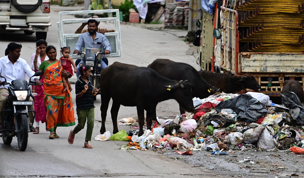 Garbage piles choke Hyderabad streets amid incessant rains