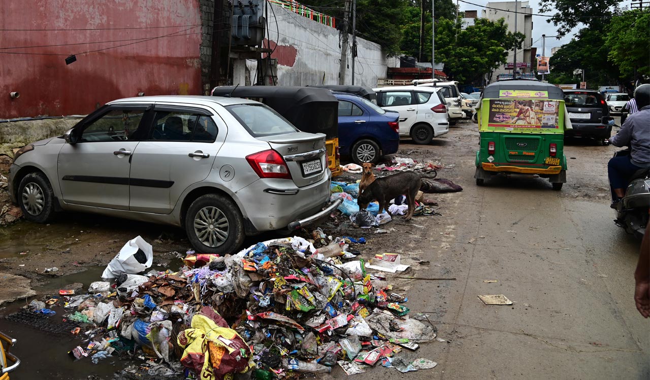 Garbage piles choke Hyderabad streets amid incessant rains