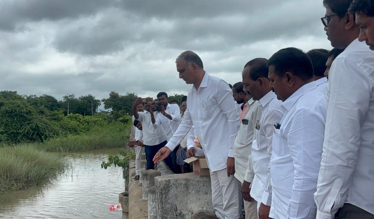 Area under cultivation declined by 1.20 lakh acres in Siddipet due to delay in pumping of water: Harish